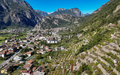 ALL ABOUT THE VALLE D’AOSTA VITI AND VINI CULTURE
